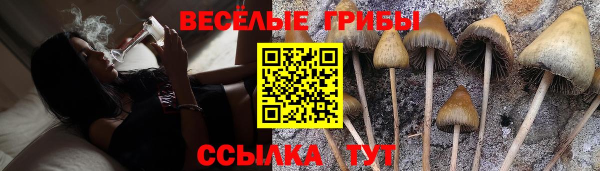 цены наркотик  Галлюциногенные грибы мухоморы  Вход с VPN  Каменск-Уральский  Псилоцибиновые грибы Cubensis 